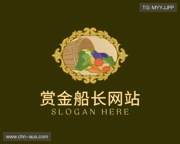 解读赏金船长网站